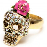 anillo1