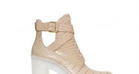 zapato2